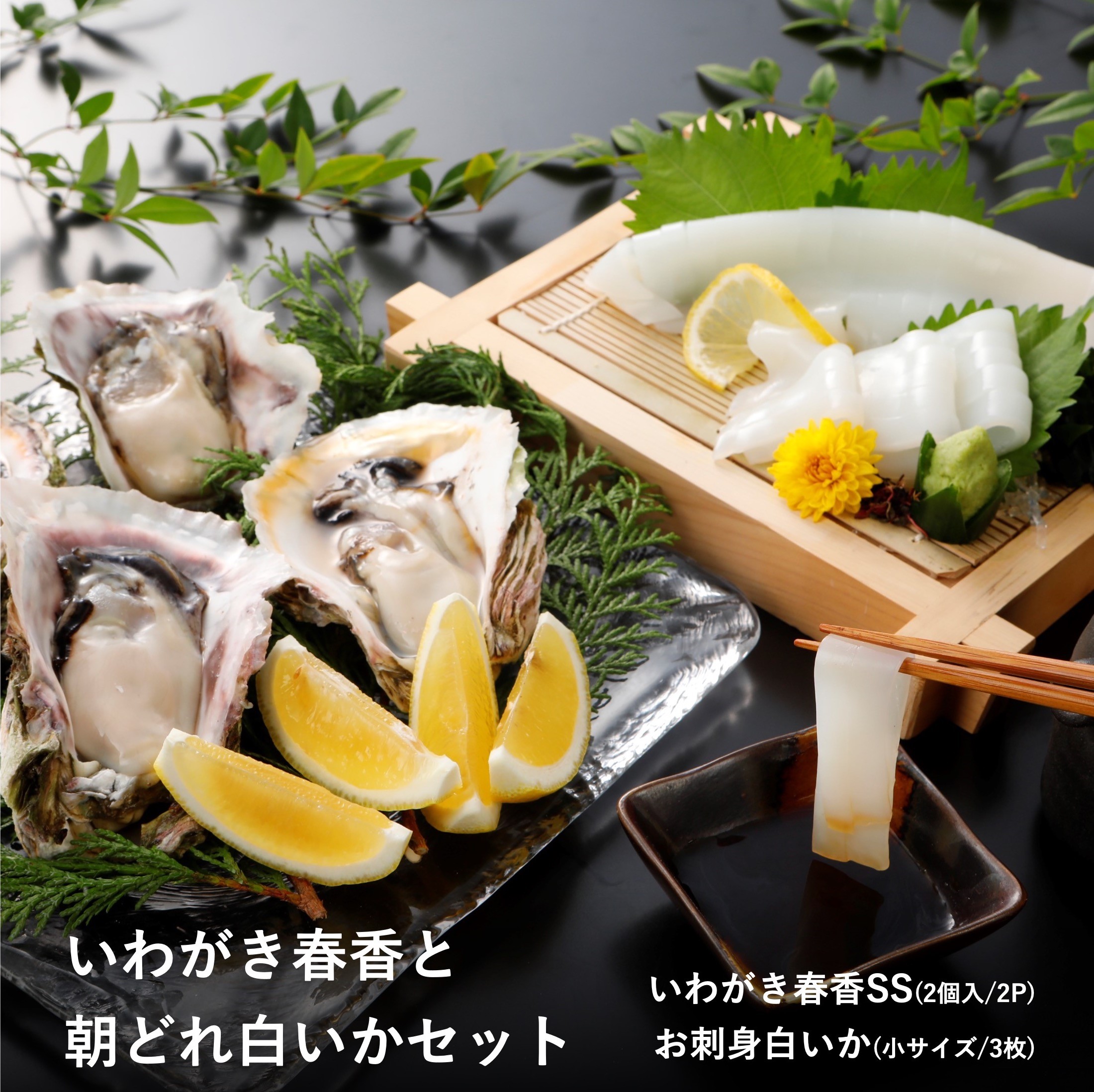 いわがき春香と朝どれ白いかセット