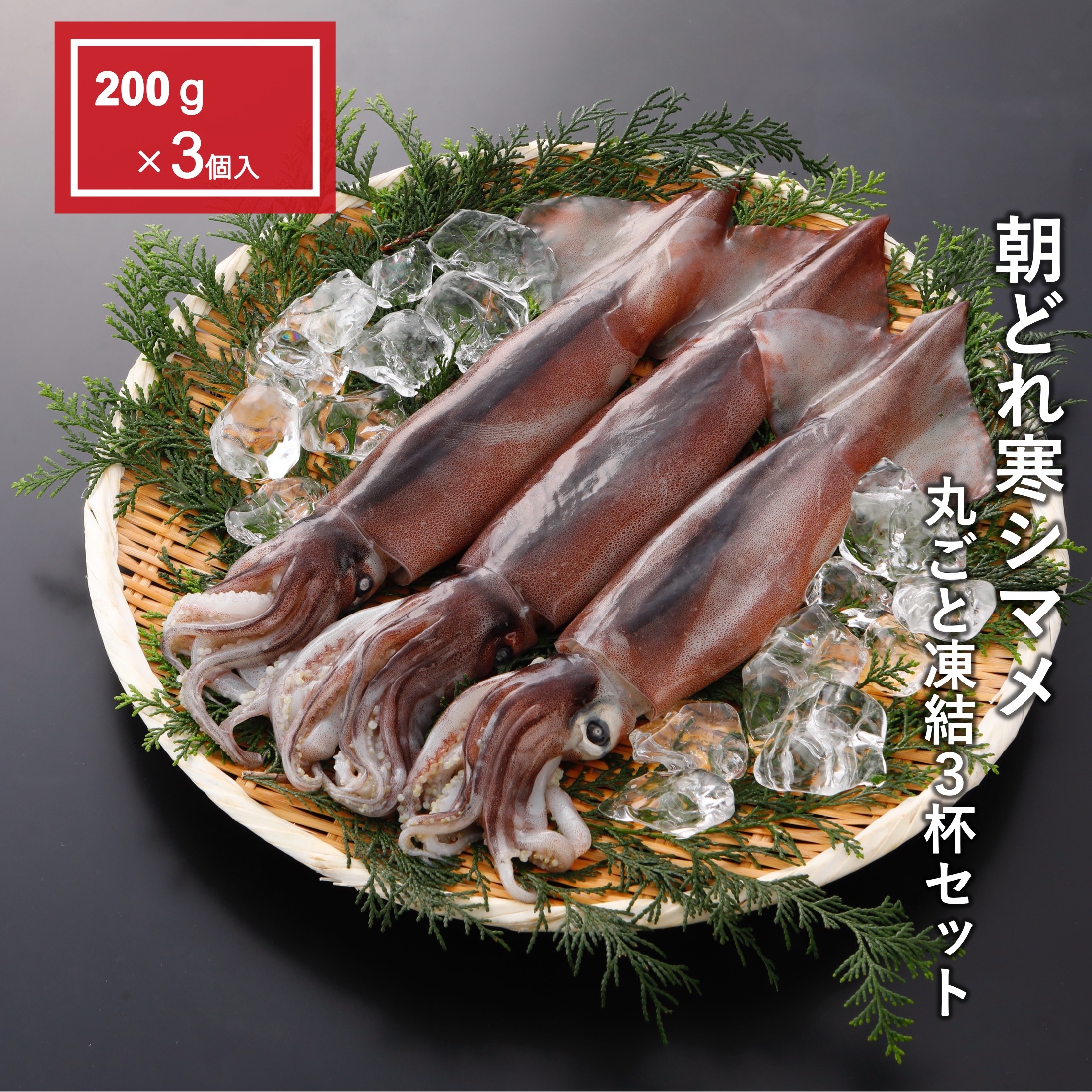 【小サイズ】朝どれ寒シマメ丸ごと凍結3杯セット