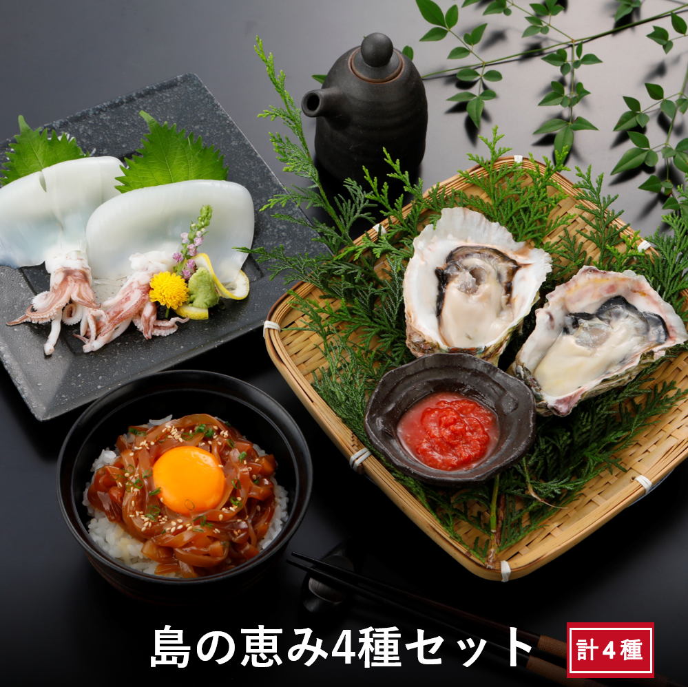海士島の恵み4種セット