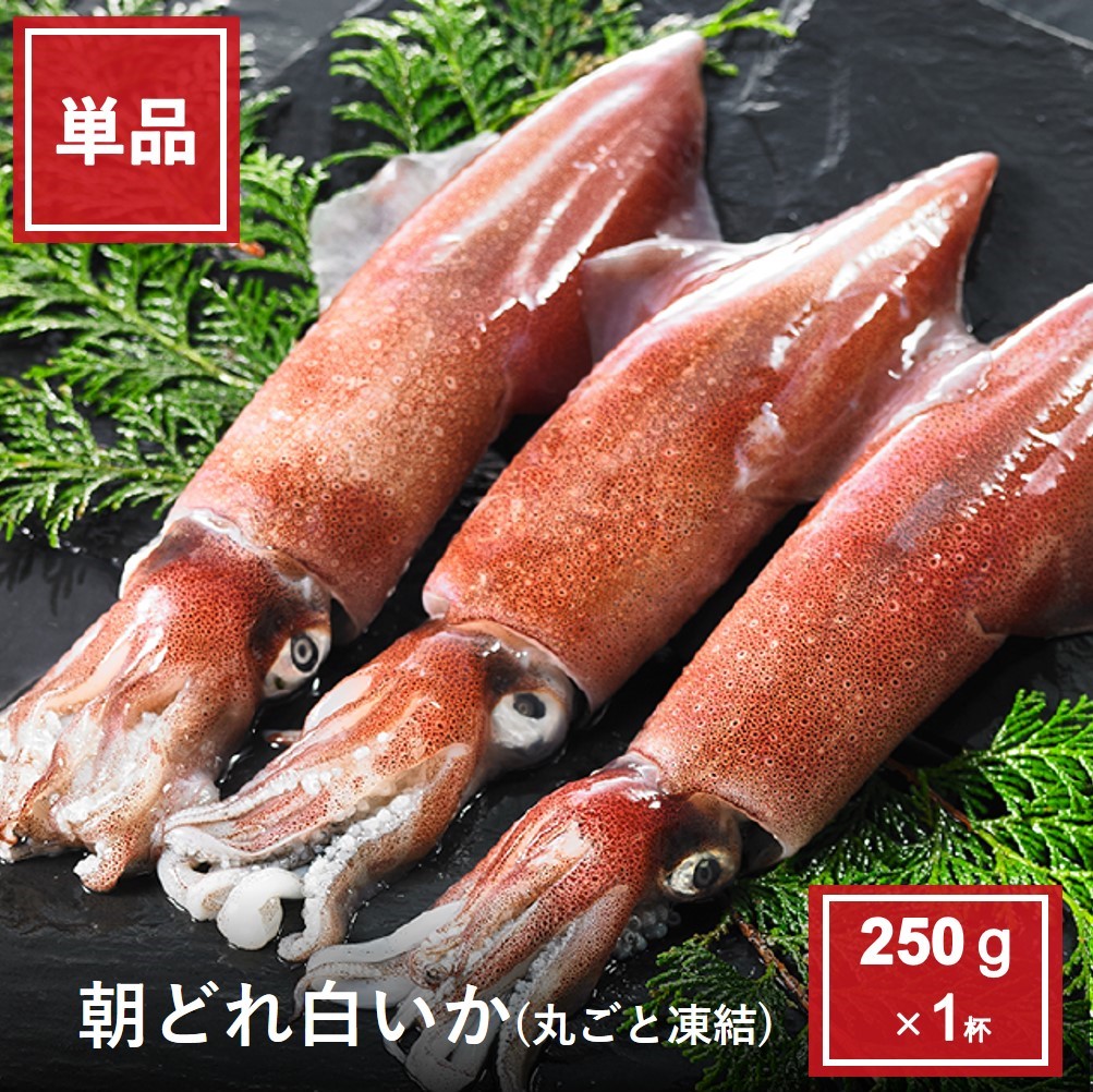 朝どれ白いか丸ごと凍結250ｇ